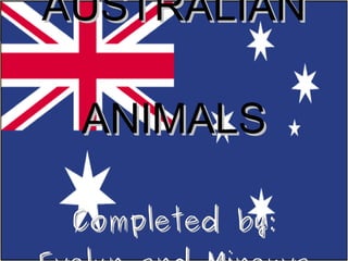 AUSTRALIAN ANIMALS Completed by: Evelyn and Minerva 
