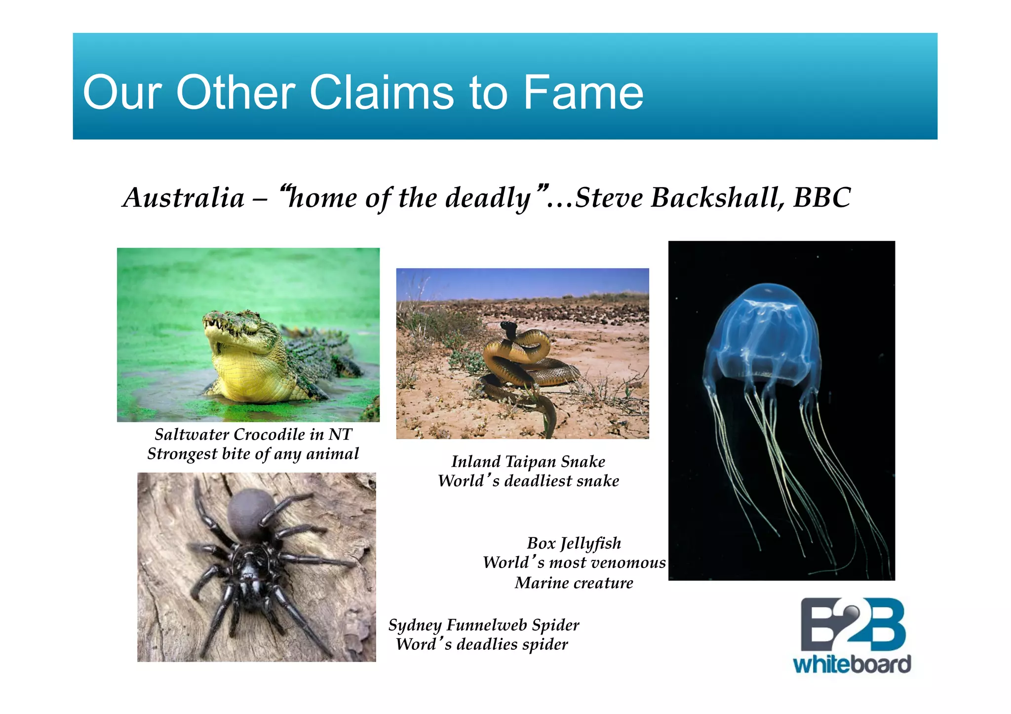 Our Other Claims to Fame
Australia – “home of the deadly”…Steve Backshall, BBC
Saltwater Crocodile in NT
Strongest bite of any animal Inland Taipan Snake
World’s deadliest snake
Box Jellyﬁsh
World’s most venomous
Marine creature
Sydney Funnelweb Spider
Word’s deadlies spider
 