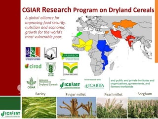 Supporting Agricultural R4D in the Semi-Arid Tropics 