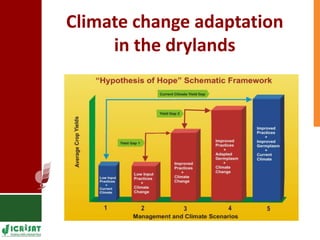 Supporting Agricultural R4D in the Semi-Arid Tropics 