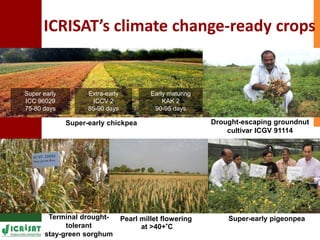 Supporting Agricultural R4D in the Semi-Arid Tropics 