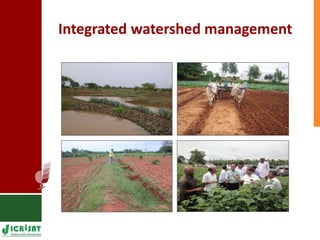 Supporting Agricultural R4D in the Semi-Arid Tropics 