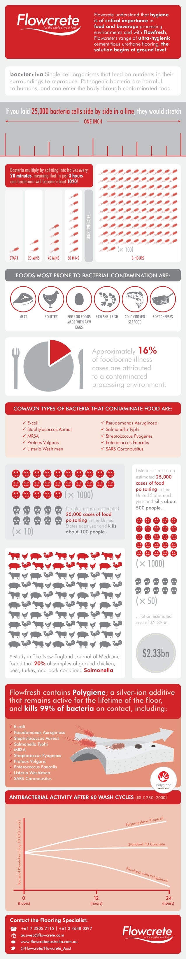 Bacteria in Food Processing Environments [Infographic]