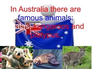In Australia there are
    famous animals:
koalas, kangaroos and
       platypus.
 