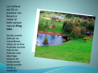 La mañana
del 28 un
autobús nos
llevara a
visitar el
bello parque
natural King
lake.
Donde podrán
disfrutar de
maravillosas
vistas de la flora
Australia durante
todo el día.
Además este
ideal lago
dispone de
restaurantes
donde podrán
comer a
mediodía.
 