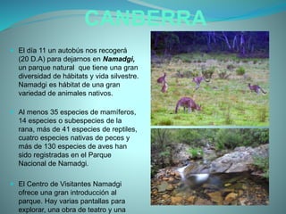 CANBERRA
 El día 11 un autobús nos recogerá
(20 D.A) para dejarnos en Namadgi,
un parque natural que tiene una gran
diversidad de hábitats y vida silvestre.
Namadgi es hábitat de una gran
variedad de animales nativos.
 Al menos 35 especies de mamíferos,
14 especies o subespecies de la
rana, más de 41 especies de reptiles,
cuatro especies nativas de peces y
más de 130 especies de aves han
sido registradas en el Parque
Nacional de Namadgi.
 El Centro de Visitantes Namadgi
ofrece una gran introducción al
parque. Hay varias pantallas para
explorar, una obra de teatro y una
 
