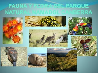 FAUNA Y FLORA DEL PARQUE
NATURAL NAMADGI, CANBERRA
 