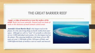 THE GREAT BARRIER REEF
A reef is a ridge of material at or near the surface of the
ocean. Reefs can occur naturally. Natural reefs are made of
rocks or the skeletons of small animals called corals.
Australia's Great Barrier Reef is the largest reef on the
planet. It is the only living thing on Earth visible from outer
space. Although we call it a ''reef,'' it's actually a collection
of over 3,000 individual reef systems. It is the largest reef on
the planet. This amazing landform is the home of over 400
types of coral, 1,500 kinds of fish, 240 types of birds, and
4,000 different kinds of molluscs such as snails and mussels.
 