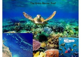 The Great Barrier Reef
 