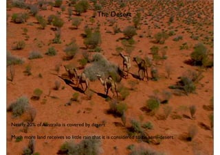 The Desert
Nearly 20% of Australia is covered by desert
Much more land receives so little rain that it is considered to be semi-desert
 