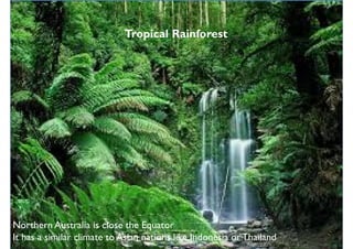 Tropical Rainforest
Northern Australia is close the Equator
It has a similar climate to Asian nations like Indonesia orThailand
 