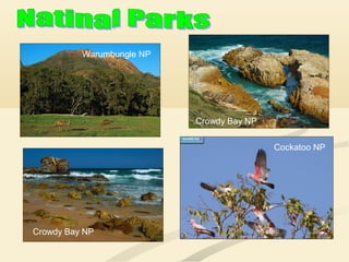 Warumbungle NP
Crowdy Bay NP
Crowdy Bay NP
Cockatoo NP
 
