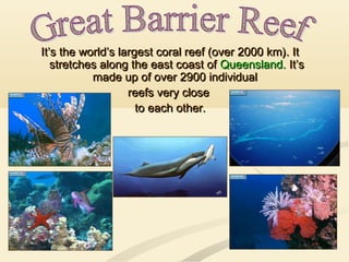 It’s the world’s largest coral reef (over 2000 km). ItIt’s the world’s largest coral reef (over 2000 km). It
stretches along the east coast ofstretches along the east coast of Queensland.Queensland. It’sIt’s
made up of over 2900 individualmade up of over 2900 individual
reefs very closereefs very close
to each otherto each other..
 