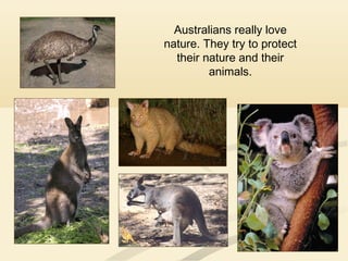 Australians really love
nature. They try to protect
their nature and their
animals.
 