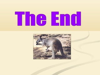 Australia holiday packages