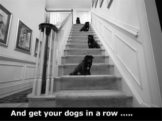 And get your dogs in a row ….. 