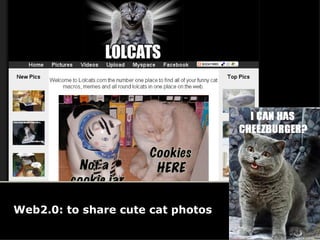 Web2.0: to share cute cat photos 