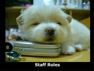 Staff Roles 
