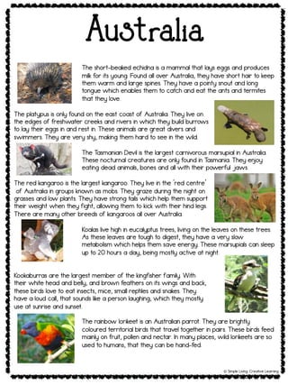 Australia
! Simple Living. Creative Learning
The short-beaked echidna is a mammal that lays eggs and produces
milk for its young. Found all over Australia, they have short hair to keep
them warm and large spines. They have a pointy snout and long
tongue which enables them to catch and eat the ants and termites
that they love.
The platypus is only found on the east coast of Australia. They live on
the edges of freshwater creeks and rivers in which they build burrows
to lay their eggs in and rest in. These animals are great divers and
swimmers. They are very shy, making them hard to see in the wild.
The T
asmanian Devil is the largest carnivorous marsupial in Australia.
These nocturnal creatures are only found in T
asmania. They en
joy
eating dead animals, bones and all with their powerful jaws.
The red kangaroo is the largest kangaroo. They live in the ‘red centre’
of Australia in groups known as mobs. They graze during the night on
grasses and low plants. They have strong tails which help them support
their weight when they fight, allowing them to kick with their hind legs.
There are many other breeds of kangaroos all over Australia.
Koalas live high in eucalyptus trees, living on the leaves on these trees.
As these leaves are tough to digest, they have a very slow
metabolism which helps them save energy. These marsupials can sleep
up to 20 hours a day, being mostly active at night.
Kookaburras are the largest member of the kingfisher family. With
their white head and belly, and brown feathers on its wings and back,
these birds love to eat insects, mice, small reptiles and snakes. They
have a loud call, that sounds like a person laughing, which they mostly
use at sunrise and sunset.
The rainbow lorikeet is an Australian parrot. They are brightly
coloured territorial birds that travel together in pairs. These birds feed
mainly on fruit, pollen and nectar. In many places, wild lorikeets are so
used to humans, that they can be hand-fed.
 