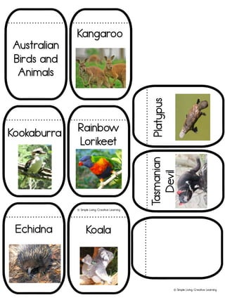 Australian
Birds and
Animals
Kookaburra Rainbow
Lorikeet
Echidna Koala
Platypus
T
asmanian
Devil
Kangaroo
! Simple Living. Creative Learning
! Simple Living. Creative Learning
 