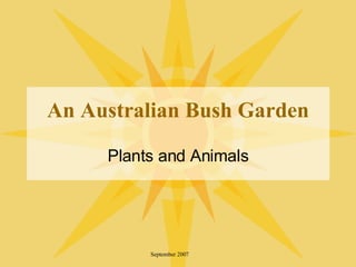 An Australian Bush Garden Plants and Animals September 2007 