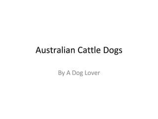 Australian Cattle Dogs | PPT | Dogs | Pets