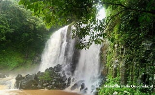 Malanda Falls Queensland

 
