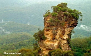 Blue mountains

 