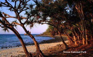 Noosa National Park

 