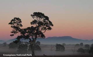 Grampians National Park

 