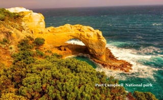 Port Campbell National park

 