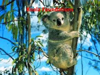 Koala Foundations
 