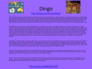 Dingo
• Diet: The dingo will eat very small mammals and the type of animals that they will eat are rabbits, kangaroos, wallabies, birds, rodents, lizards and they
will also eat carrion and if there is no prey animals in the area than they will eat different types of fruit. The dingo will normally hunt by it self but there
are sometimes that they do hunt in a group that is called a pack. The best time of the day for these dogs to hunt is really at night and that means that
these dogs are nocturnal. The dingo is a carnivore and that means that they only eat meat. The food that the dingo eats is rats, kangaroos, birds,
rabbits, lizards, and they will also sometimes eat different types of farm animals as well. These dogs can swallow their meal by doing very large chunks.
• Habitat/Range: The type of places where the dingo lives is in places that are in desert woodlands, desert rivers. And they will also hunt in a sandy
country to and when they want to find a good place to sleep and those places are in rocky gorges. The other type of places where these animals can be
found is in Australia, Sulawesi, Thailand and they can also be found in other different parts of Southeast Asia. The other habitats that these dogs can be
found in is forests edges, grasslands and they can also be found on the plains that is located in the outback. The dingo native home is the continent of
Australia . They can be found in other places to like they can be found in places that are in Asia as well like they can be found in Thailand. South East
China, Myanmar, Laos, New Guinea, Philippine, Malaysia, Borneo and Indonesia. The other habitats where these animals can be found is in the plains,
mountains, deserts and they can be found in the forests that are in South East Asia and they are can also be seen hanging out very small villages. The
type of places where the dingo likes to live in are places that have dry plains and forests and all of these places are located in the continent of
Australia.
• Size/Weight: The body length of a dingo is about 72 to 110 cms (28 to 43 inches). The length of their tail is 21 to 36 cms (8.5-14 inches). The weight of
the dingo dog is about 9 to 21.5 Kgs (20-47 lbs). A adult dingo can be long than 3 ft (90 cm) long. These dogs can grow at least about 60cm high and
they can weight about 15 kilograms. The size of their head and their body is 4 feet long and they can weight at least 35 pounds. The other size of their
head and their body is about 3.5 to 4 ft. The size of their tail is (1.1 to 1.2 m) that is how long their tail. They can also grow at least 12 to 13 in (30 to 33
cm). They can also weight about 22 to 33 lbs (10 to 15 kg). They can grow about 44-63 up to the shoulder.
• life span: The dingo dog can live about 8 to 10 years. When these dogs are living in their natural habitat than they will live for 5 to 10 years. They can
also live for 10 years when they are in the wild. When they are living in captivity like they are living in a zoo than they get to live for 14 years. If they
are being kept as pets than they get to live for 20 years or even longer than that.
• Threats : threat for the dingo is that they are breeding with domestic dogs that is because people are letting their dogs out where dingoes live. But
there is a lot of work that is being done to help them and the other threat that they are going through today is their habitat is getting destroyed
because people are trying to make room for buildings, cities and roads.
http://youtu.be/70vmFasMPHs
http://youtu.be/AWEQKLCqSRI
 