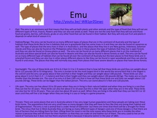 Emu
• Diet: The emu is an omnivore and that means that they will eat both plants and other animals and the type of food that they will eat are
different types of fruit, insects, flowers and they can also eat seeds as well. These are not the only food that they will eat and those
food are grains, berries, soft shoots, grubs or any other food that can be found in their habitat. But they will only eat fruit and plants it
depends on what kind of season it is.
• Habitat/Range: The emu can be found on so many different types of places that are in the continent of Australia and the type of
habitats that these birds like to live is habitats that are in grasslands that has some trees in it and they can also be found on savannas as
well. The type of places that the emu lives in that is in Australia is and the places that they live in are New guinea, Indonesia, Solomon
islands and they can also be found on the Philippines when they live in these places the type of habitats that they live is open forests
and they can also be found on Grassy plains as well. The emu can be found on so many different places that is on the mainland of
Australia and these special birds can also be found in deserts and they can also be found in dense forests as well. The emu can be found
on so many different type of habitats that can be found all over the continent of Australia but the best places to find these birds are in
sclerphyll forest and they can also live in other places different places to like they can be found in open woodlands and they can also be
found in arid areas. The places that they will normally stay away from places that have severe deserts or places that have dense forests.
• Size/weight: The size of these birds are 4.9 to 6.2 feet (1.5 to 1.9 meters) that is how tall that these birds are and they can weight about
66 to 121 pounds (30 to 55 kilograms). The emu is known to be the most largest bird in the world the second bird that is the largest is
the ostrich and the emu can grow about 6 feet and that is their height and they can weight about 100 pounds . These birds can also
grow about 5 to 6.5 feet (1.5 – 2 meters) and that is their height and they can weight about 130 pounds (60 kg). The males are so much
smaller than the females are. The size of an emu is 6 feet (185 cm) that is how tall that these birds are and they can weight about 110
pounds (50 kg), These birds can be bigger than the tallest person. The emu can stand about 6 ½ feet and 120 pounds.
• Life span: The emu can live about 10 to 20 years when they are in living in their natural habitat and when they are living in a zoo than
they can live for 35 years. These birds can also live about 5 to 10 years but this is their life span when they are in the wild. These birds
can also live for 10 to 20 years. They can also live about 20 years as well. When they are living in the wild than they can live till 5 or 10
years and they will live a lot longer when they are living in a zoo or living in a game preserve.
• Threats: There are some places that are in Australia where it has very large human population and these people are taking over these
birds home. The populations that are very small have so many dangers that they will have to face like they are losing their habitat and
of fragmentation. The emu is not a animal that is under threat of Extinction but there are times that there will be a drought for these
birds. The emus that live in West Australia they are facing so many different types of dangers and one of those dangers is that there are
lots of farmers that are killing them for their. Killing them for meat is not the only reason why these birds are in trouble the other
reason is because they will kill them for their feathers so that they can make oil and leather out of them. The emu used to live on the
island of Tasmania but it does not live there anymore that is because it became extinct in the year of 1865.
http://youtu.be/-WB1prZGewc
 