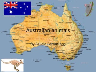 Australian animals
By Felicia Ferentinos
 