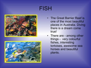 FISH The Great Barrier Reef is one of the most beautiful places in Australia. Diving there is a dream come true! There are - among other things -  very colourful fishes, interesting tortoises, awesome sea horses and beautiful plants.  