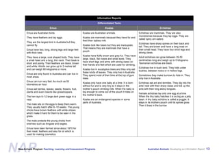 Australian Animals Screen