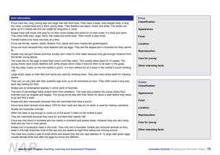 Australian Animals Screen