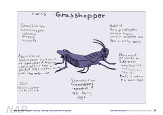 Australian Animals Screen