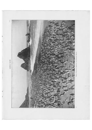 Australian Antarctic Expedition