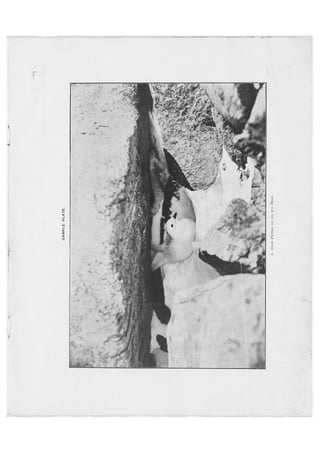 Australian Antarctic Expedition