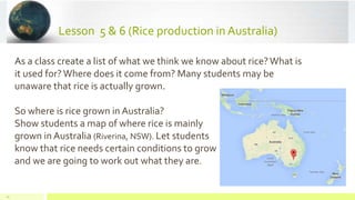 Australian and Asian Rice Production | PPTX