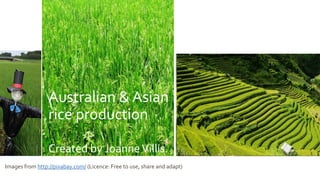 Australian & Asian
rice production
Created by JoanneVillis
Images from http://pixabay.com/ (Licence: Free to use, share and adapt)
 