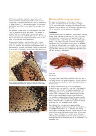 Beekeeping Guide.pdf Australian beekeeping guide | PDF