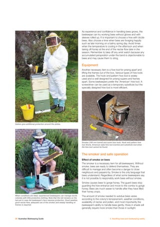 Beekeeping Guide.pdf Australian beekeeping guide | PDF