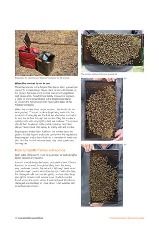 Beekeeping Guide.pdf Australian beekeeping guide | PDF
