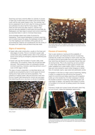 Beekeeping Guide.pdf Australian beekeeping guide | PDF