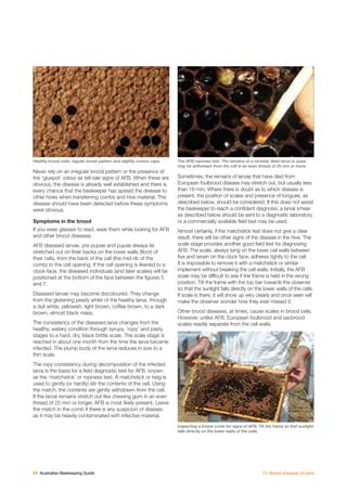 Beekeeping Guide.pdf Australian beekeeping guide | PDF