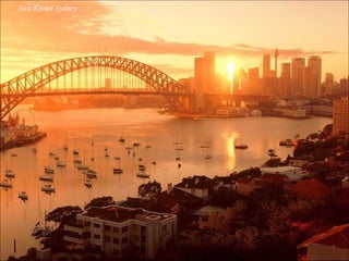 Sun-Kissed Sydney 