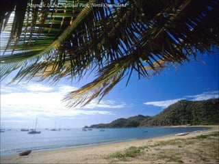 Magnetic Island National Park, North Queensland 